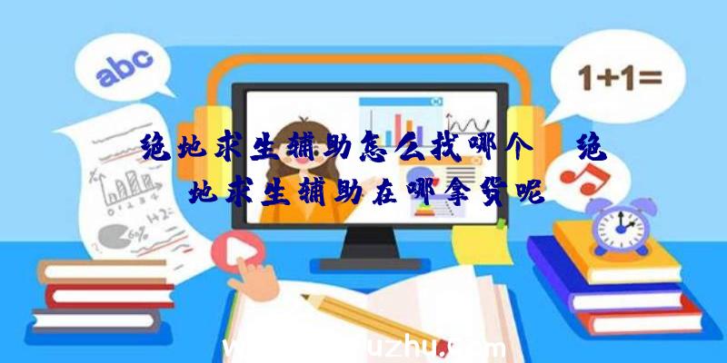 「绝地求生辅助怎么找哪个」|绝地求生辅助在哪拿货呢